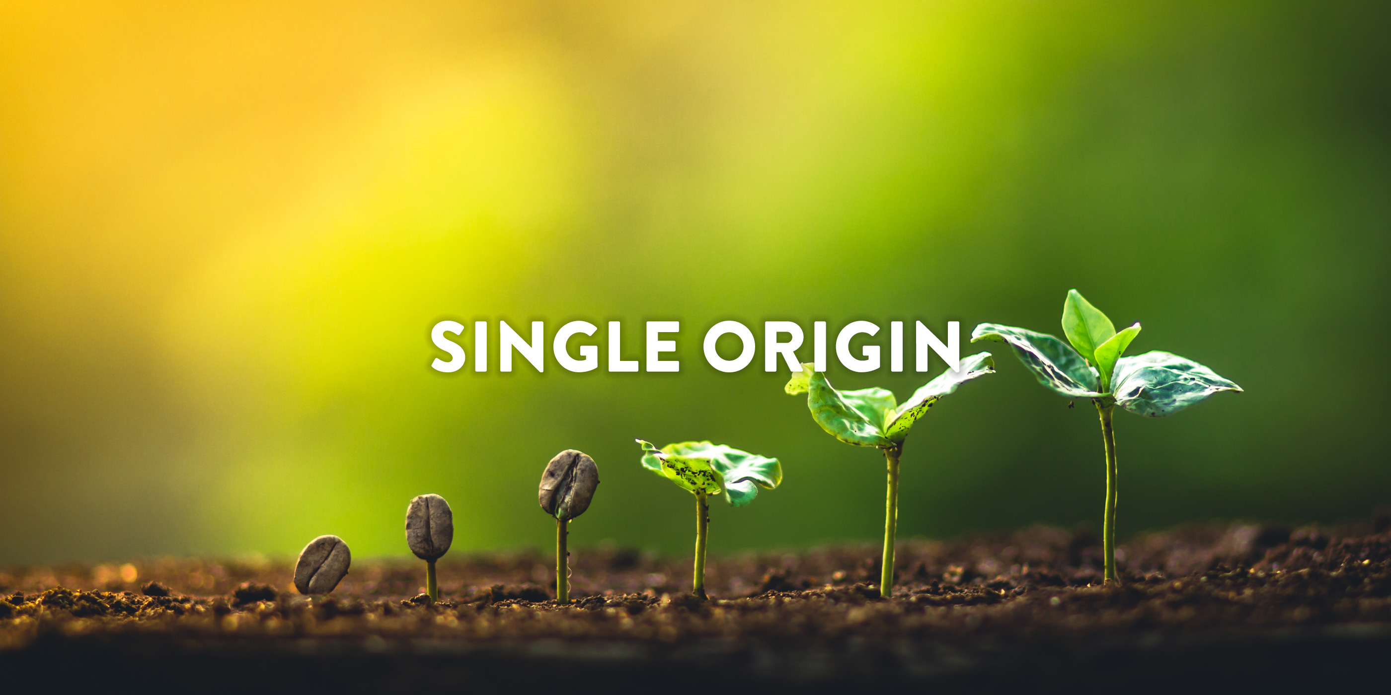 Single Origin